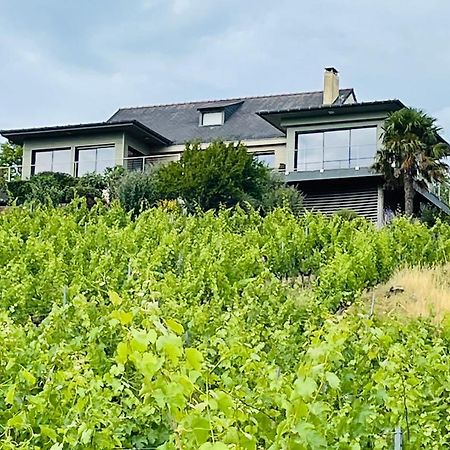 Maison Des Coteaux Blancs Chaudefonds-sur-Layon Eksteriør billede