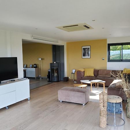 Maison Des Coteaux Blancs Chaudefonds-sur-Layon Eksteriør billede