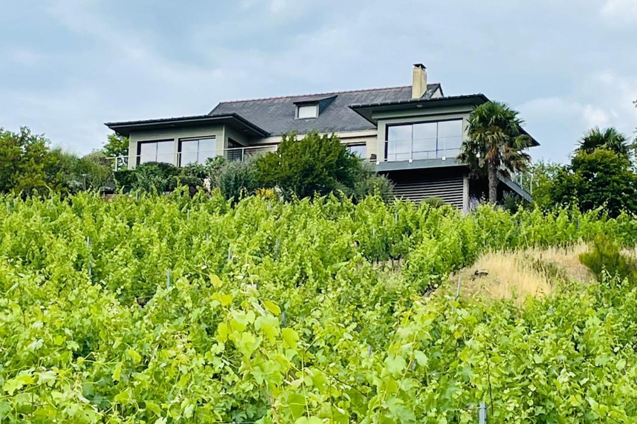 Maison Des Coteaux Blancs Chaudefonds-sur-Layon Eksteriør billede