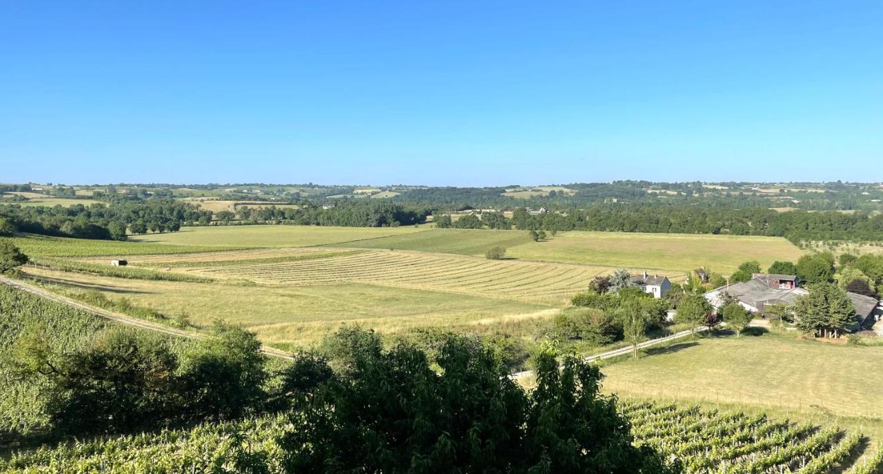 Maison Des Coteaux Blancs Chaudefonds-sur-Layon Eksteriør billede