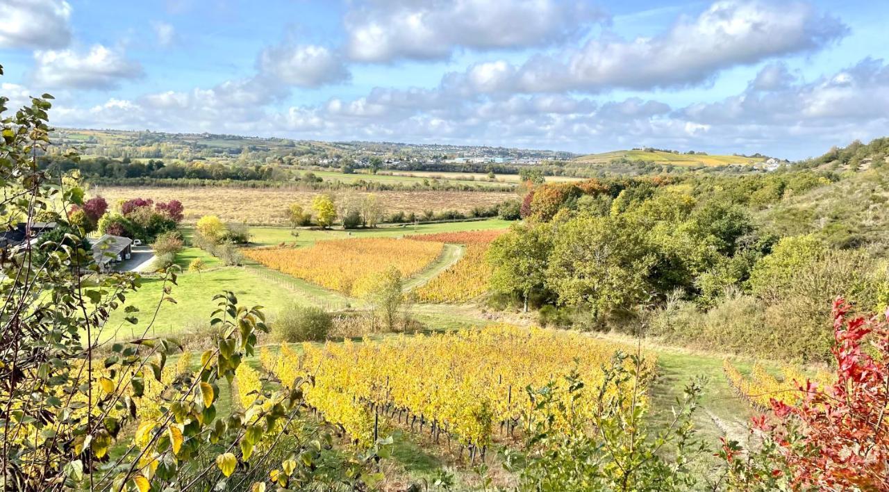 Maison Des Coteaux Blancs Chaudefonds-sur-Layon Eksteriør billede