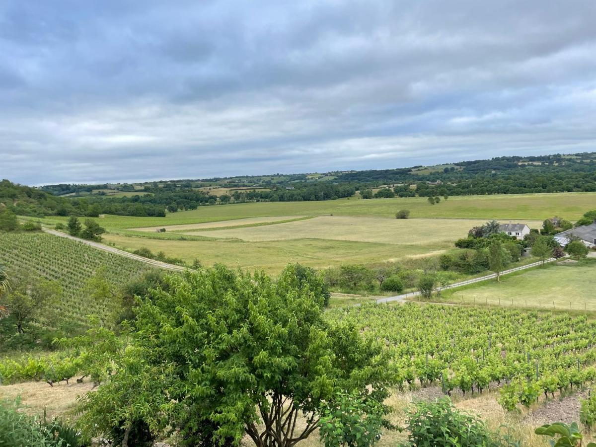 Maison Des Coteaux Blancs Chaudefonds-sur-Layon Eksteriør billede