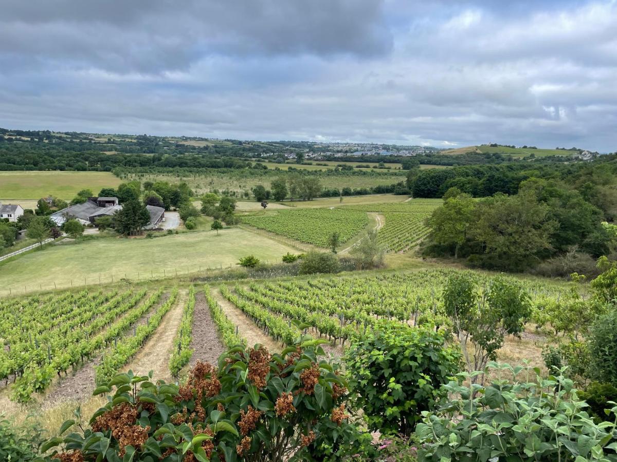Maison Des Coteaux Blancs Chaudefonds-sur-Layon Eksteriør billede