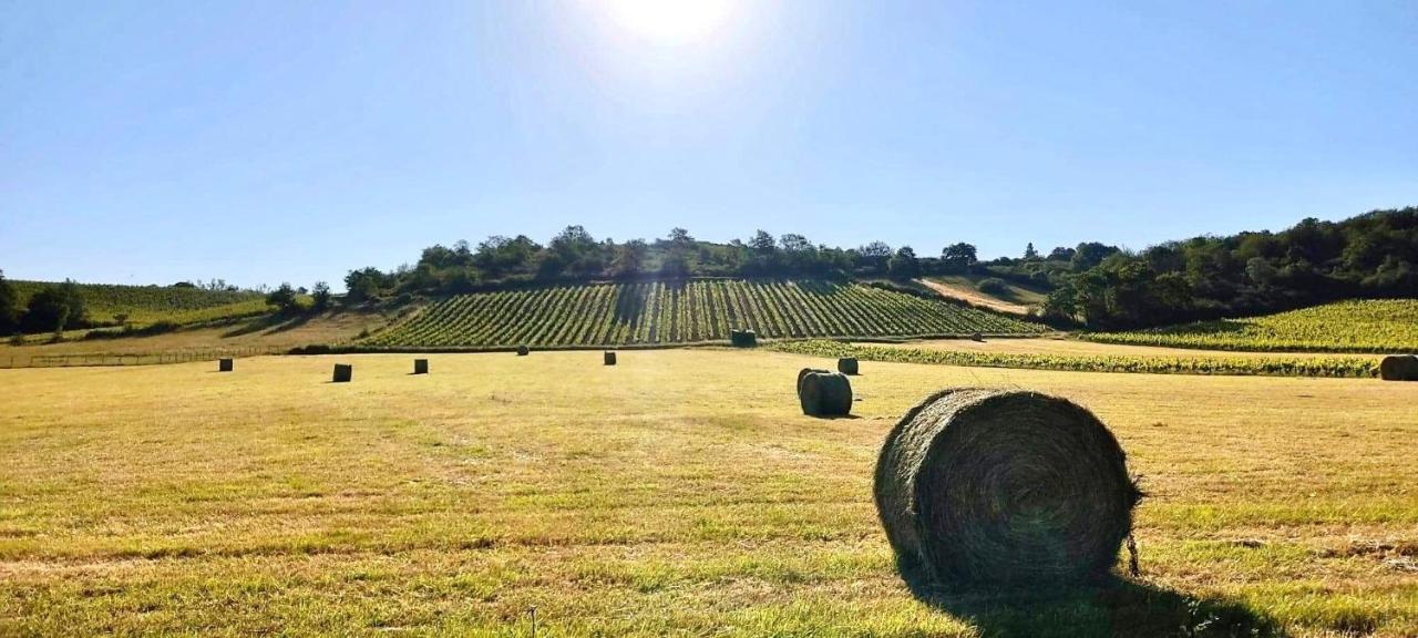 Maison Des Coteaux Blancs Chaudefonds-sur-Layon Eksteriør billede