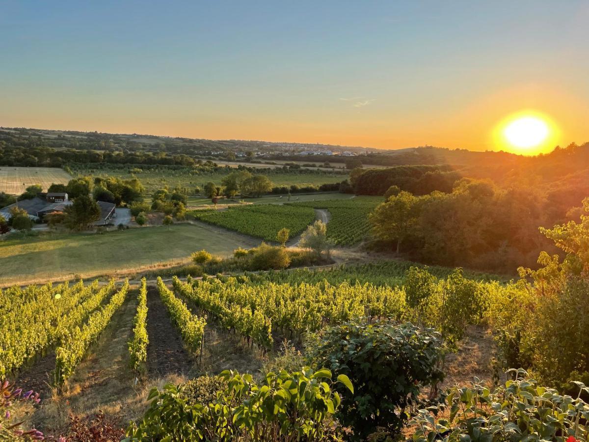 Maison Des Coteaux Blancs Chaudefonds-sur-Layon Eksteriør billede