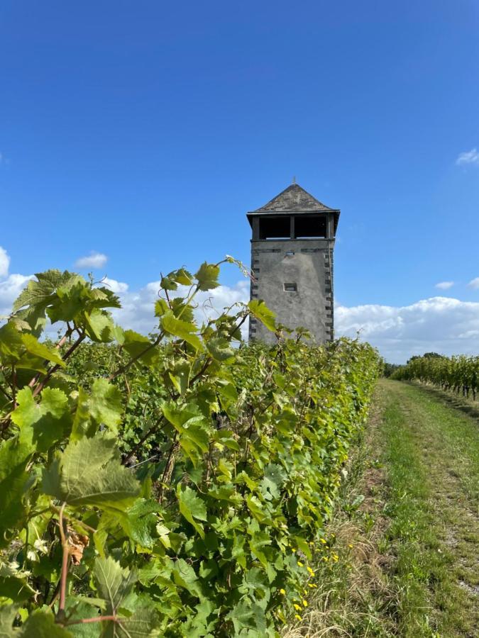 Maison Des Coteaux Blancs Chaudefonds-sur-Layon Eksteriør billede