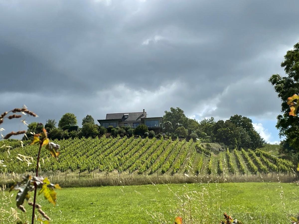 Maison Des Coteaux Blancs Chaudefonds-sur-Layon Eksteriør billede